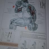 strength training anatomy third edition